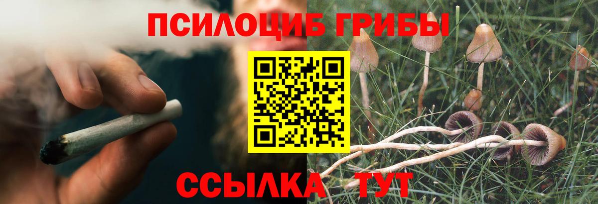 купить наркотики сайты  Вход с VPN  Галлюциногенные грибы мухоморы  Шали  Псилоцибиновые грибы Psilocybine cubensis 